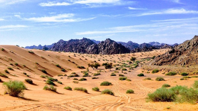 desierto nefud arabia
