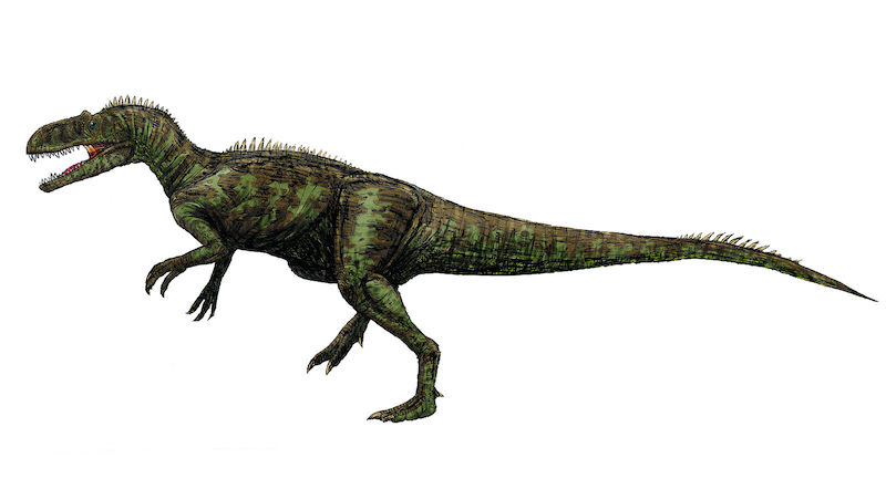 dinosaurio Chilantaisaurus