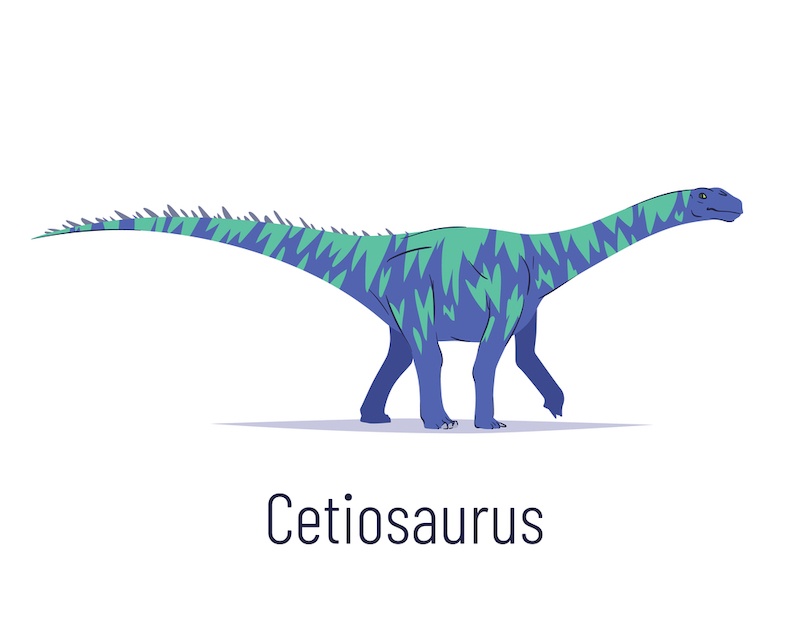 Cetiosaurus dinosaurio