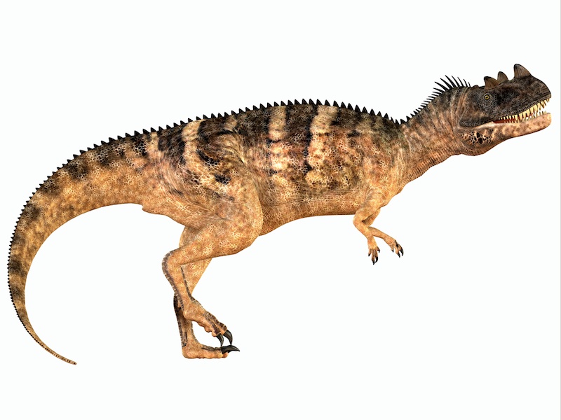 ceratosaurus