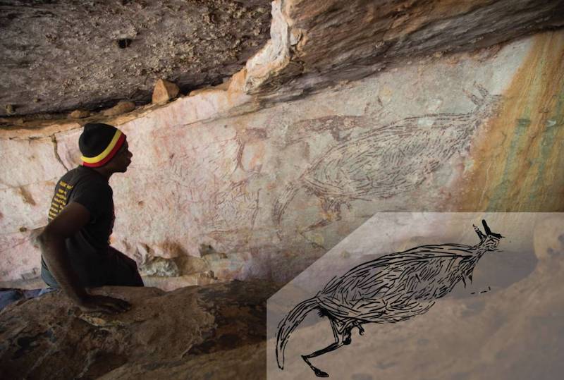 canguro pintura rupestre mas antigua australia