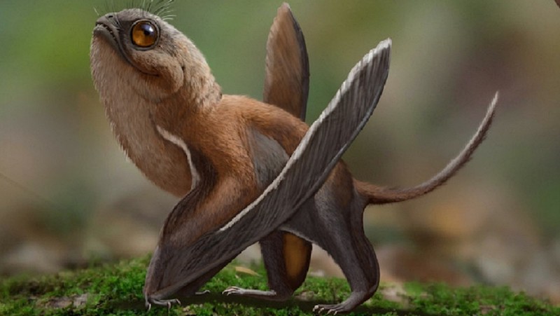 dinosaurio Sinomacrops