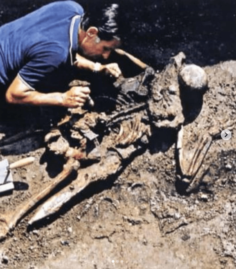 esqueleto soldado romano alto rango herculano