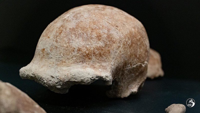 neandertal italia