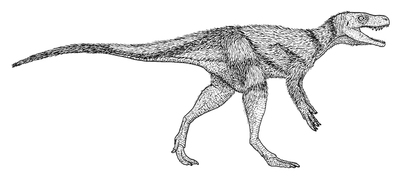 dinosaurio Chindesaurus