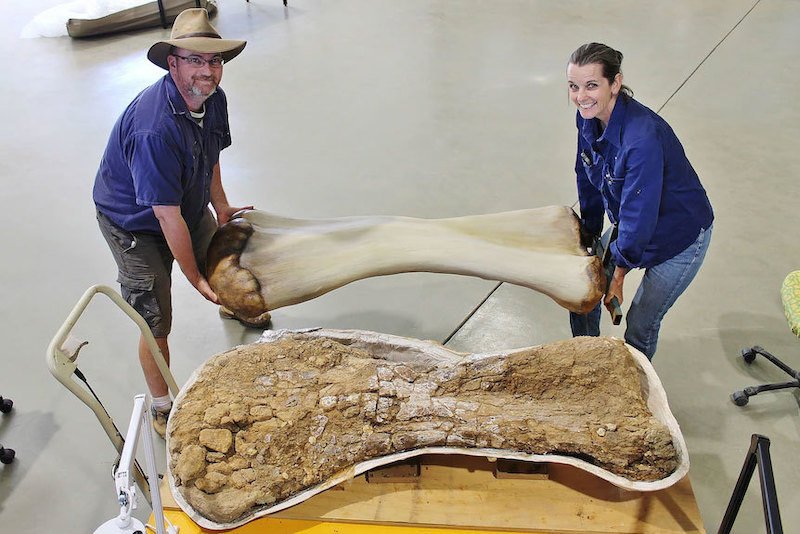 restos australotitan dinosaurio mas grande australia