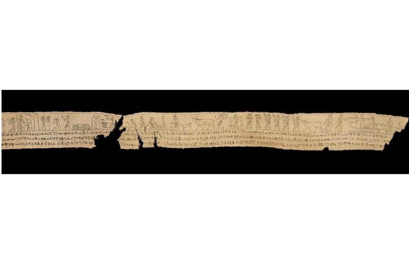 fragmento vendaje lino momia egipto