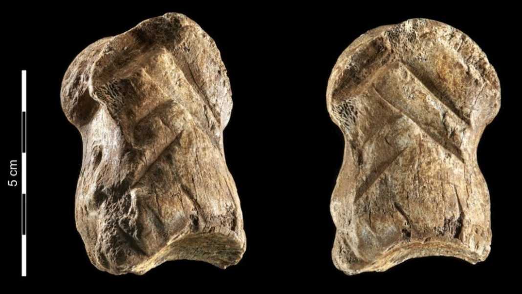 origen arte hueso tallado neandertales