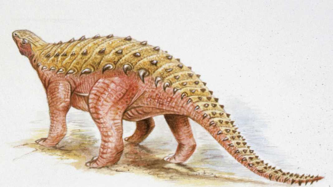 dinosaurio Struthiosaurus austriacus