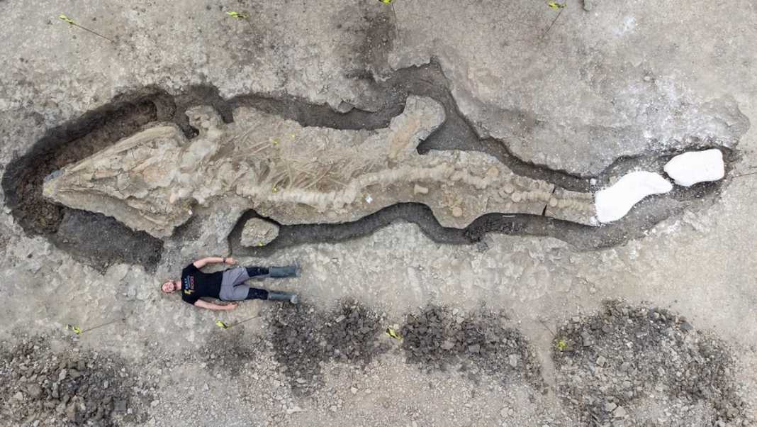 esqueleto ictiosaurio gran bretaña