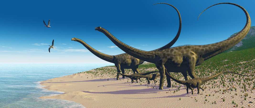 dinosaurio diplodocus