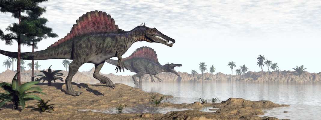 caracteristicas del spinosaurus