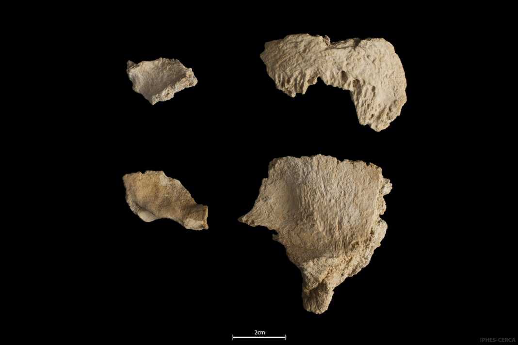 neandertal abric romani cataluña