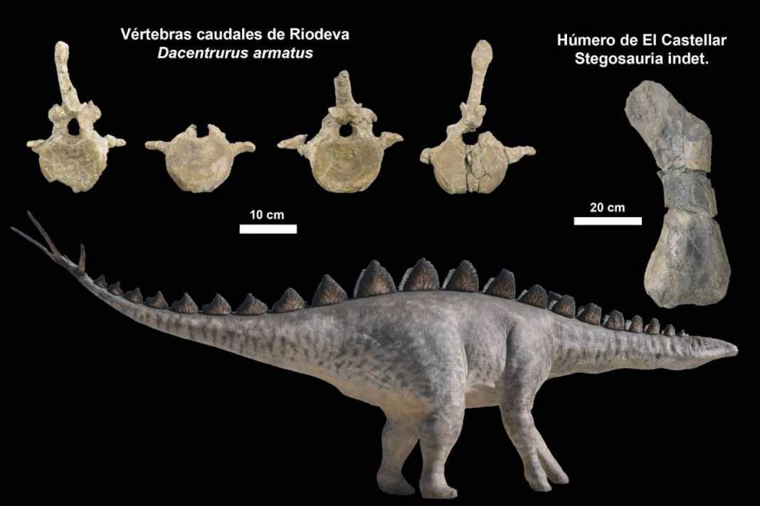estegosaurios en españa