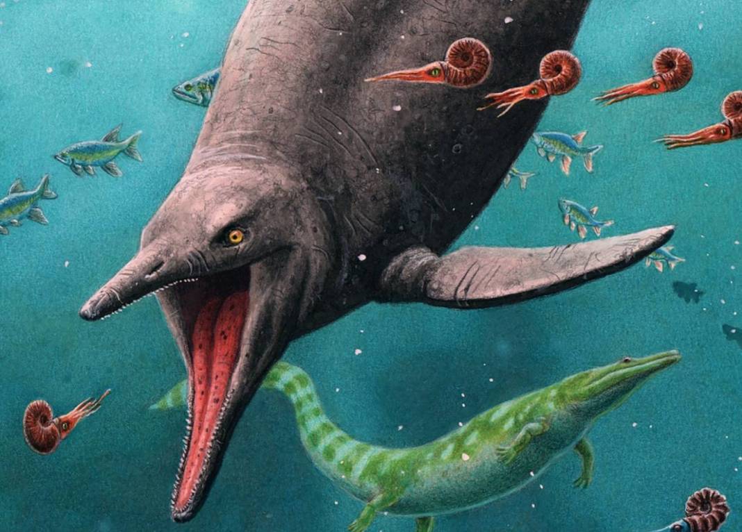 Ictosaurio desmonta la teoría evolutiva antes del pérmico.