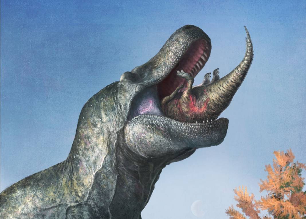 El T-Rex pudo tener labios.