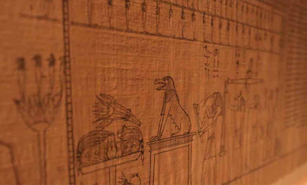 papiro 16 metros saqqara egipto