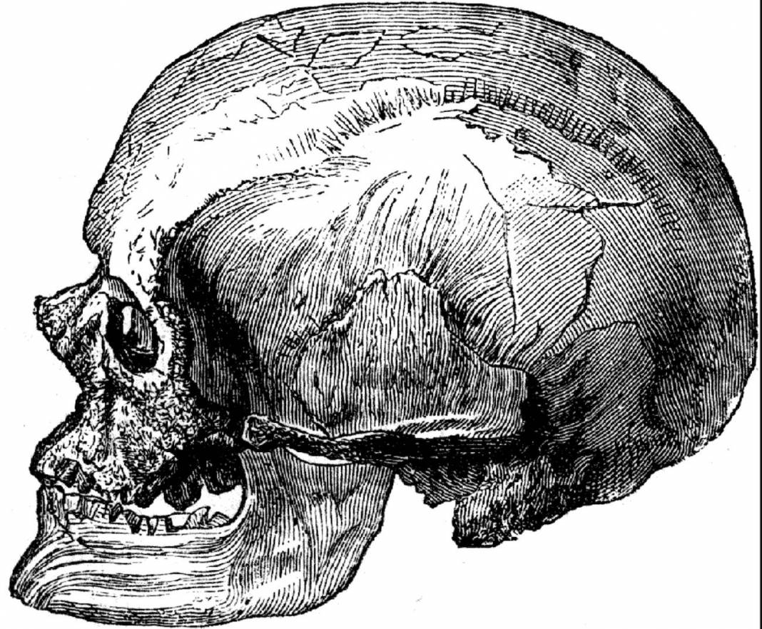 Cráneo cromañón primer asesinato europeo