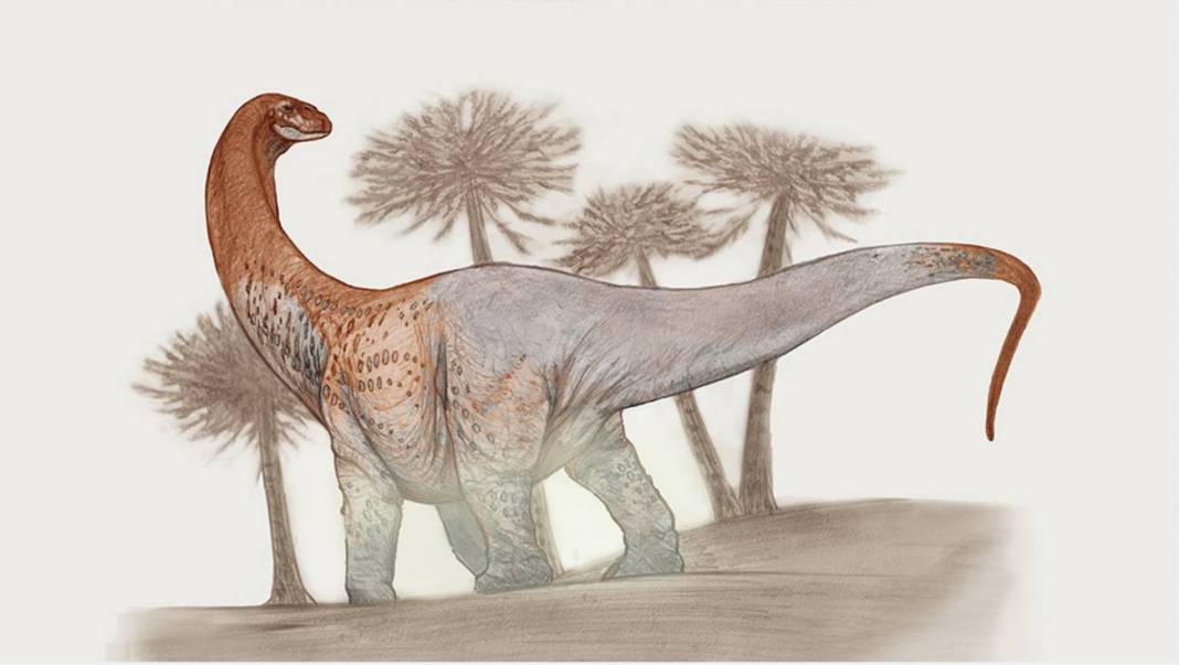 Nuevo dinosaurio descubierto en la Patagonia.