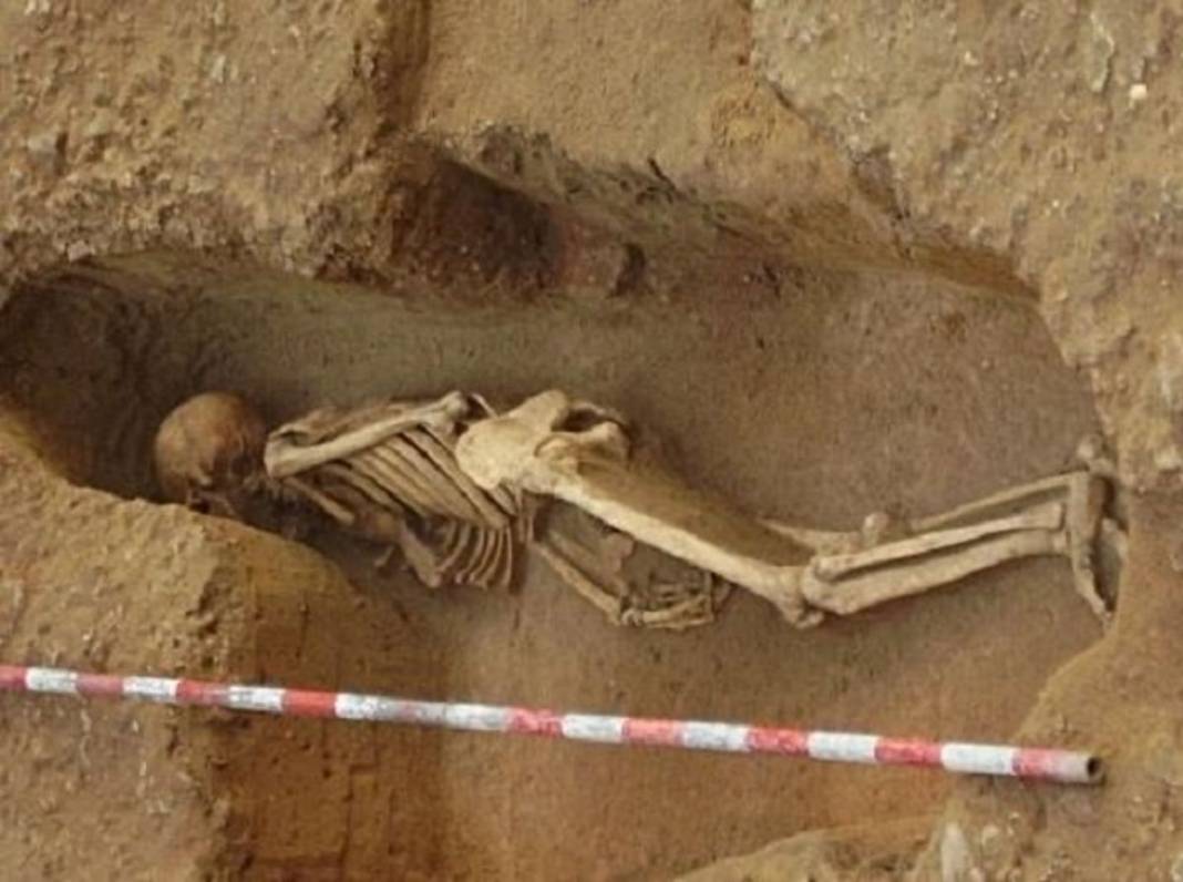 Estudios demuestran origen fenicio de restos óseos en Cádiz.