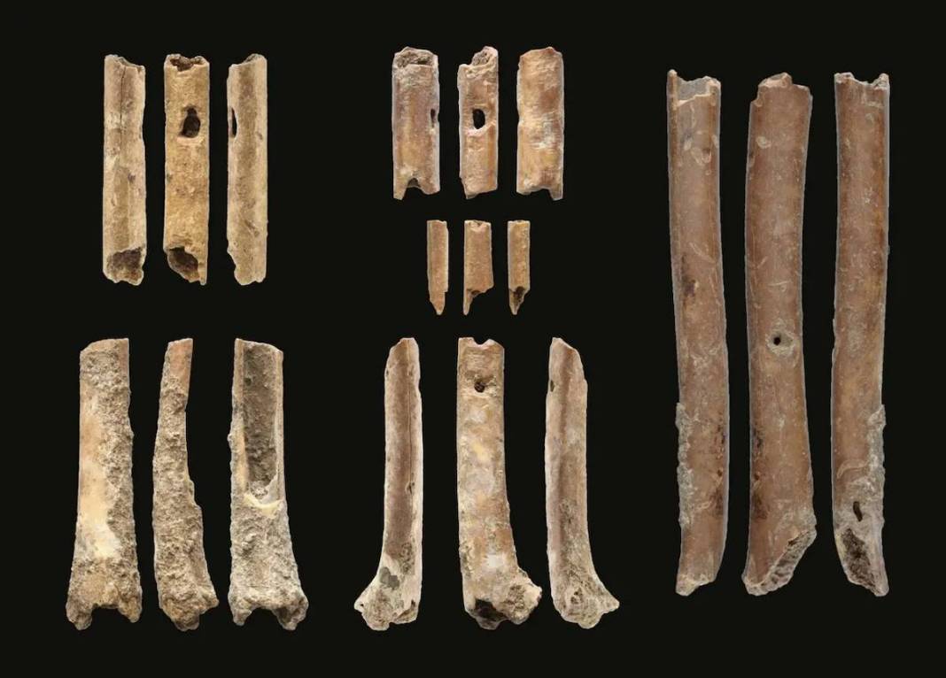 Flautas de hueso prehistóricas halladas en Israel.