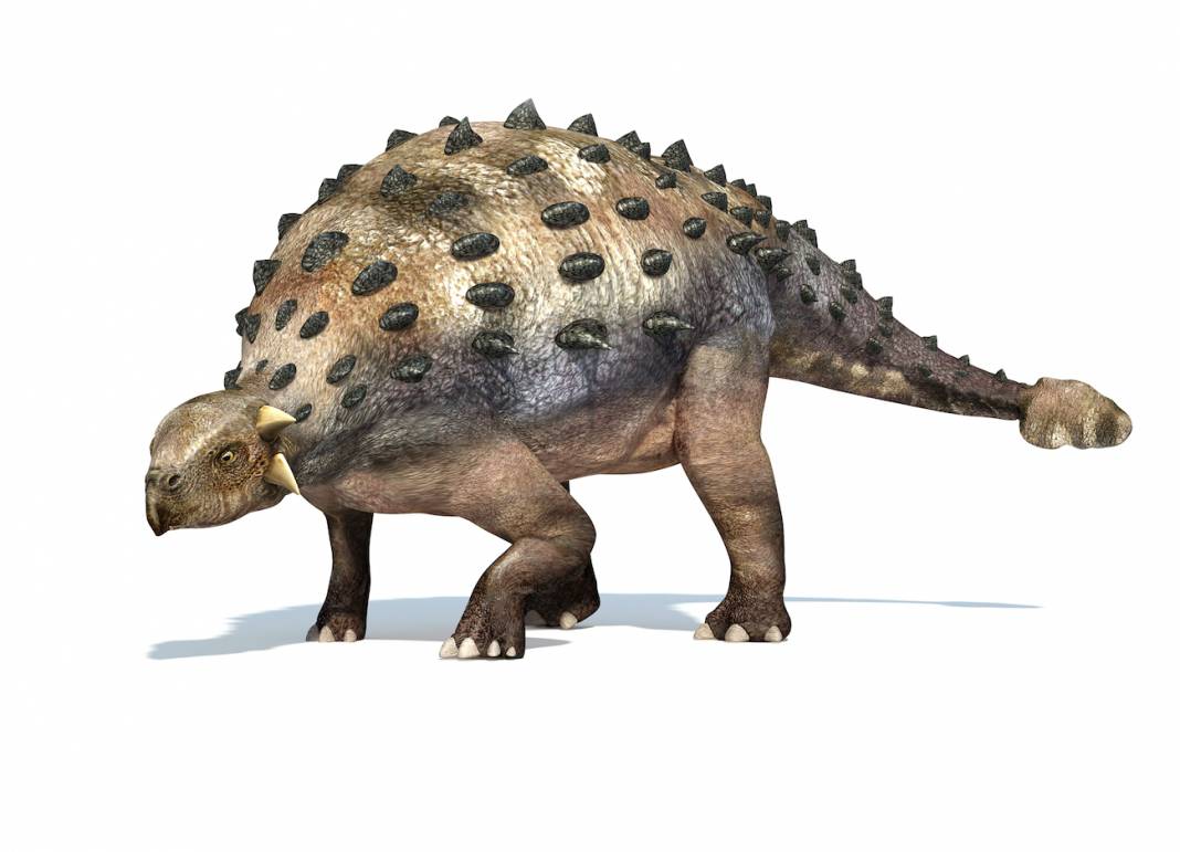 voz dinosaurio anquilosaurio