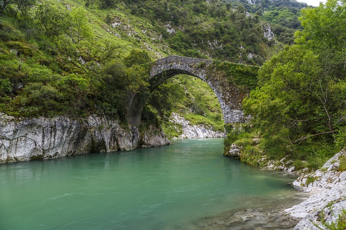 Aguas verdes del río Sella con un puente romano y vegetación por donde pasa el Descenso del Sella