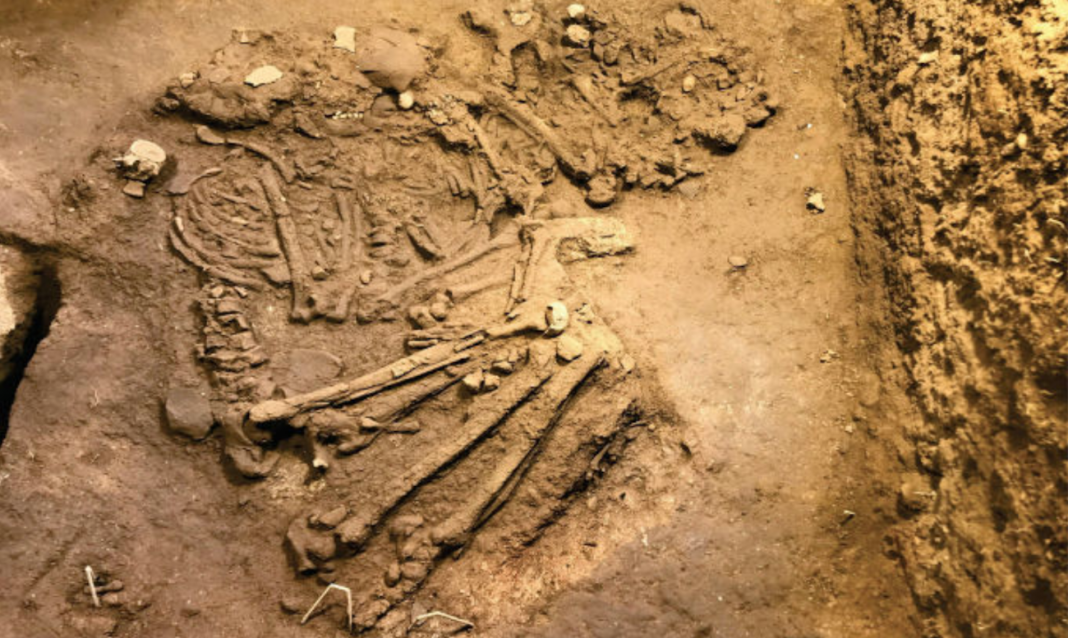 restos humanos vietnam