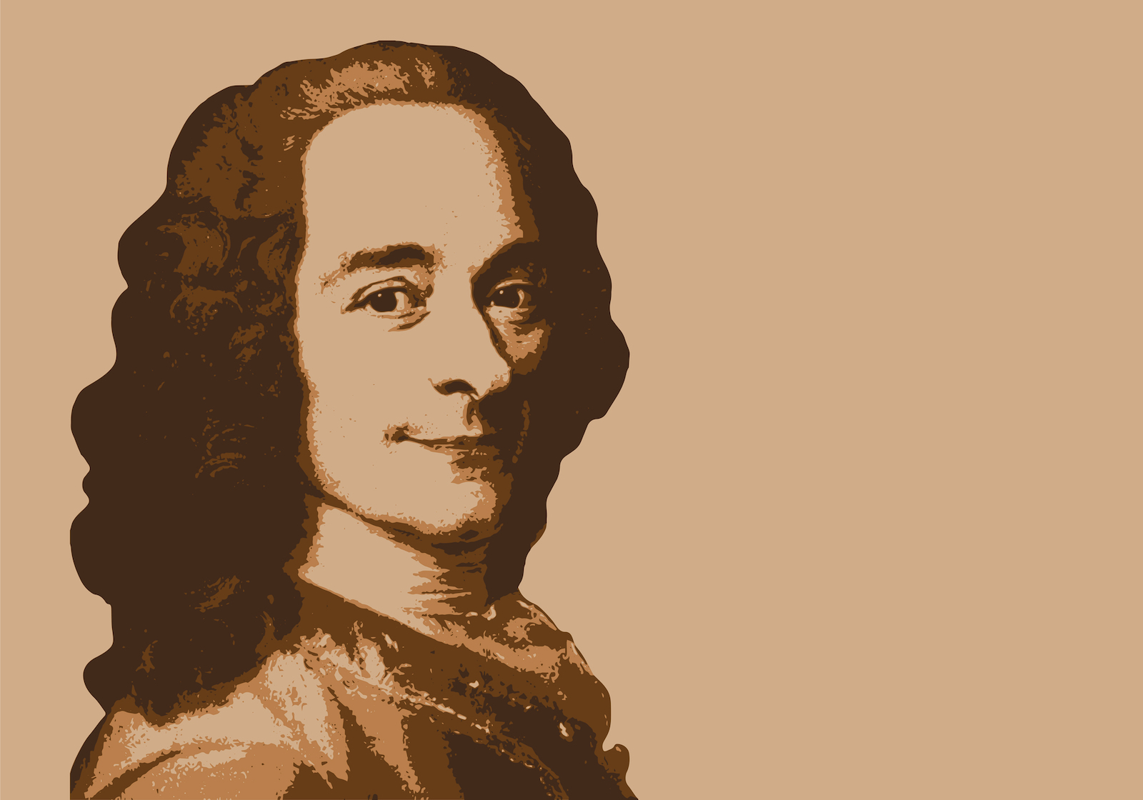 retrato voltaire voltaire filosofo siglo de las luces
