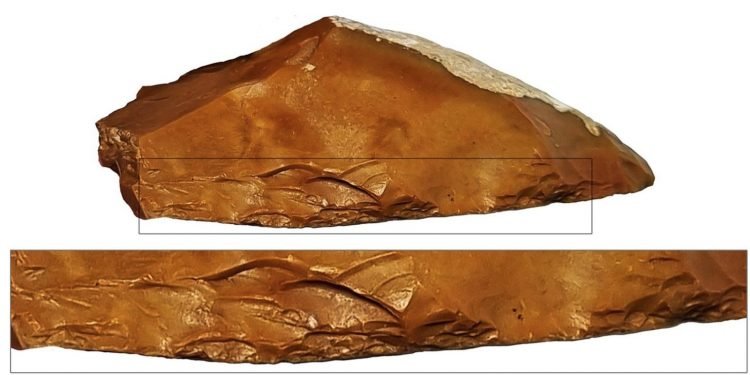 El primer uso de raspadores de Quina fue hace 400.000 años, lo que refleja un cambio en las prácticas de caza debido a la extinción de animales de caza mayor como los elefantes. Crédito: Universidad de Tel Aviv.