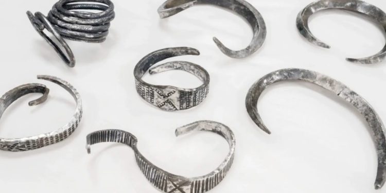 Brazaletes vikingos hallados en Dinamarca. Crédito: Museo Moeesgard.