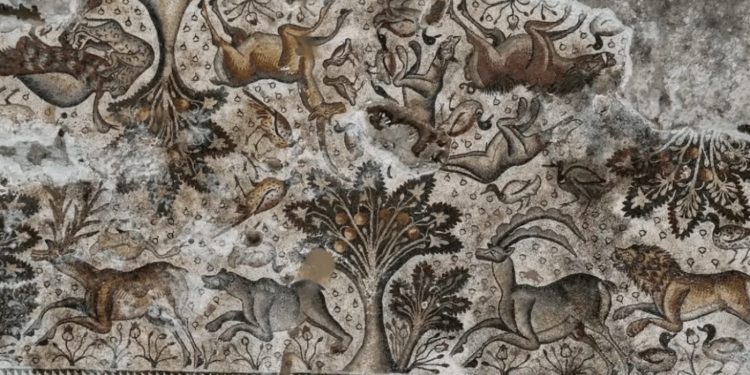 Mosaico romano de 84 metros cuadrados hallado en Turquía. Crédito: IHA