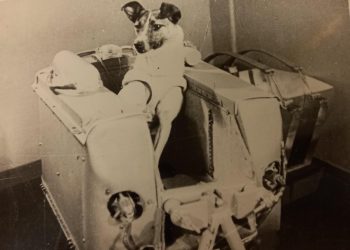 perra laika primer astronauta