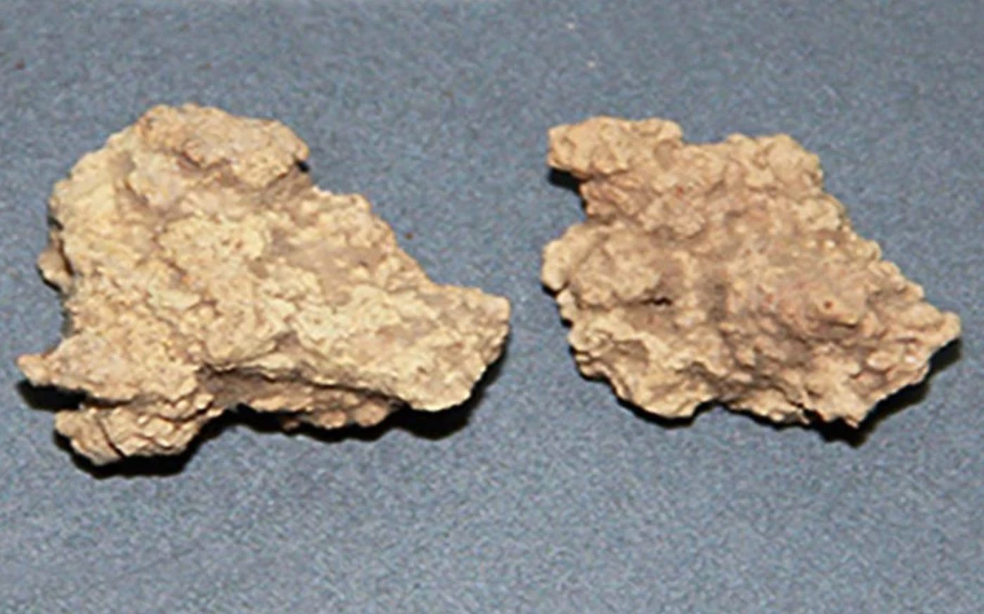 queso mas antiguo del mundo queso mas antiguo del mundo