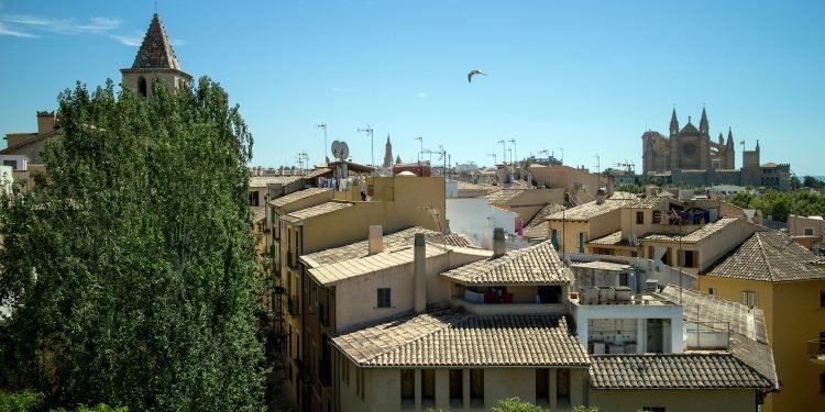 la calatrava palma mallorca