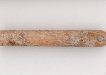 Hace 13.000 años se hacían agujas para coser piel en Norteamérica