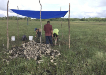 Los antecesores de los Mayas utilizaban canales para pescar hace 4.000 años