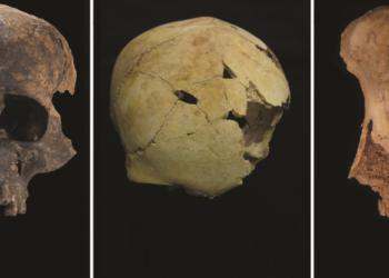 Descubren restos de canibalismo en la mayor masacre de la Edad de Bronce en Gran Bretaña