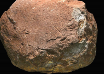 En Marbella descubren una piedra que podría ser la obra de arte más antigua en Europa.