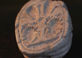 Un sello cananeo en forma de escarabajo hallado por una niña.