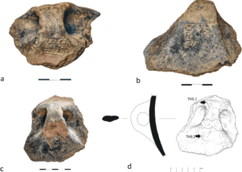 En una jarra de 4.500 años encuentran una inscripción.