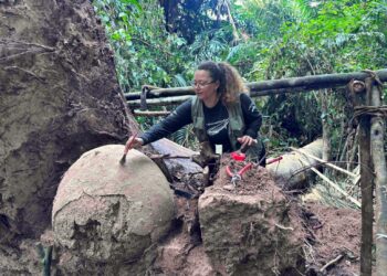 Siete urnas de cerámica ha sido hallado en Brasil luego de la caída de un árbol.