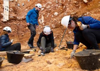 Descubren los restos de un niño Homo antecesor decapitado y canibalizado.