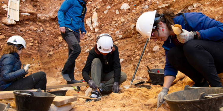 Descubren los restos de un niño Homo antecesor decapitado y canibalizado.