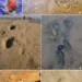 Las huellas neandertales más antiguas de Portugal.