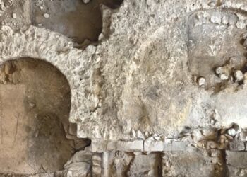 Excavaciones revelan una catedral y un baptisterio en Francia,