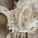 Excavaciones revelan una catedral y un baptisterio en Francia,