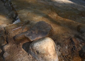 Un taller neandertal ha sido encontrado en Polonia.