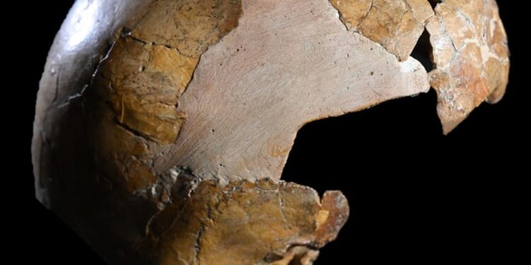 Análisis de restos óseos redefine los orígenes de la hibridación humana-neandertal