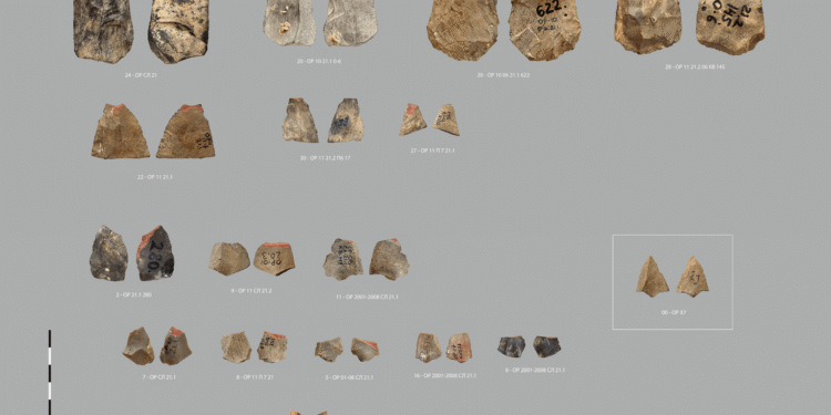 Encuentran puntas de flecha con 80 mil años en Asia.